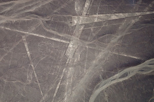 Nazca Lines portraying a parrot