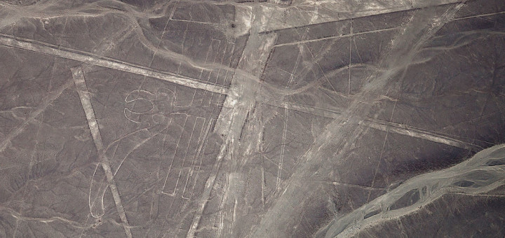 Nazca Lines portraying a parrot